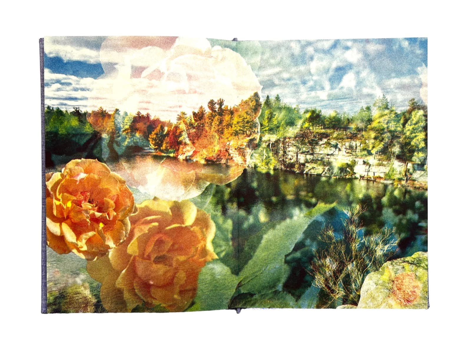 NEW RELEASE ! VACATIONLAND