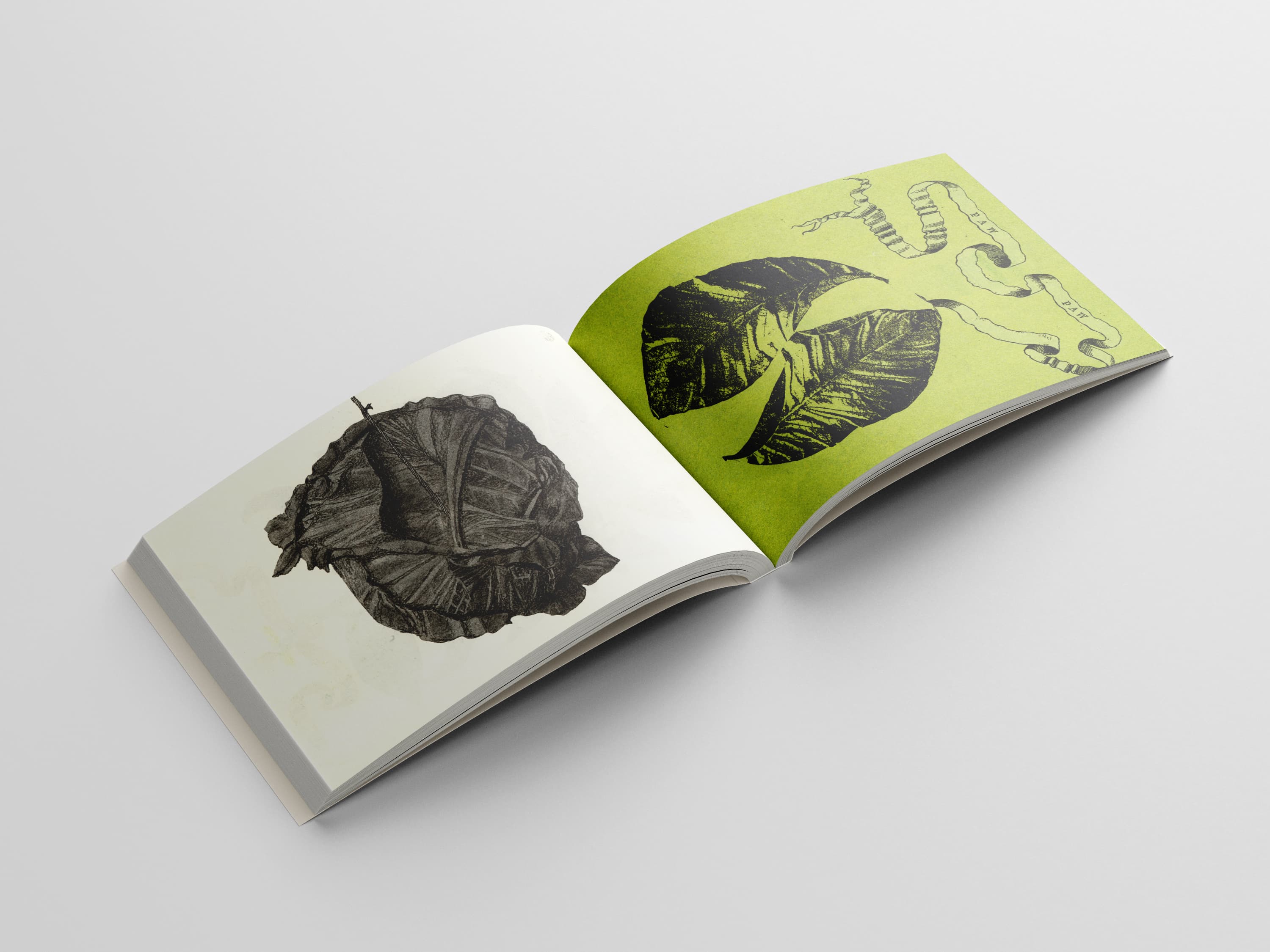 dead one thumbnail 2