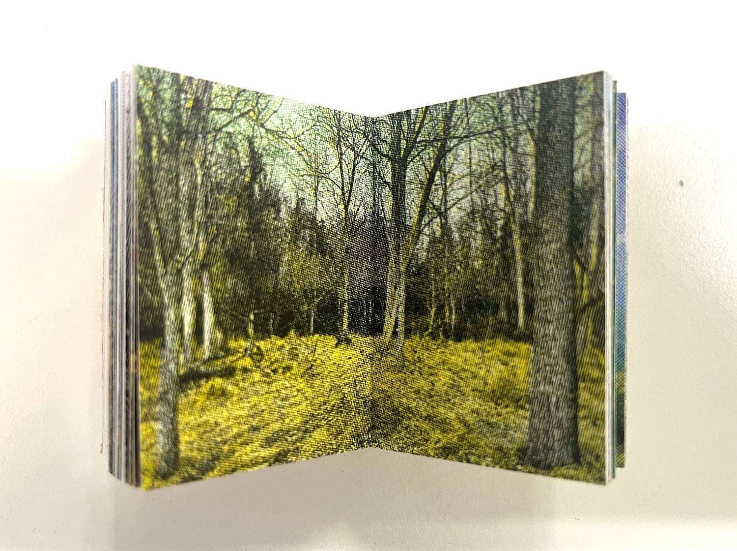 Vacationland (PocketSize)